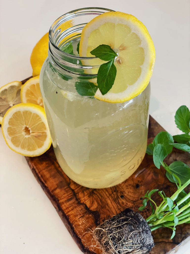 benefits of southern mint lemonade